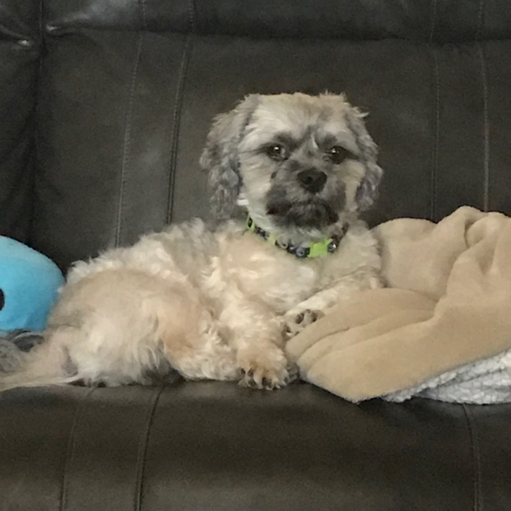 Meet your Posher, Scott